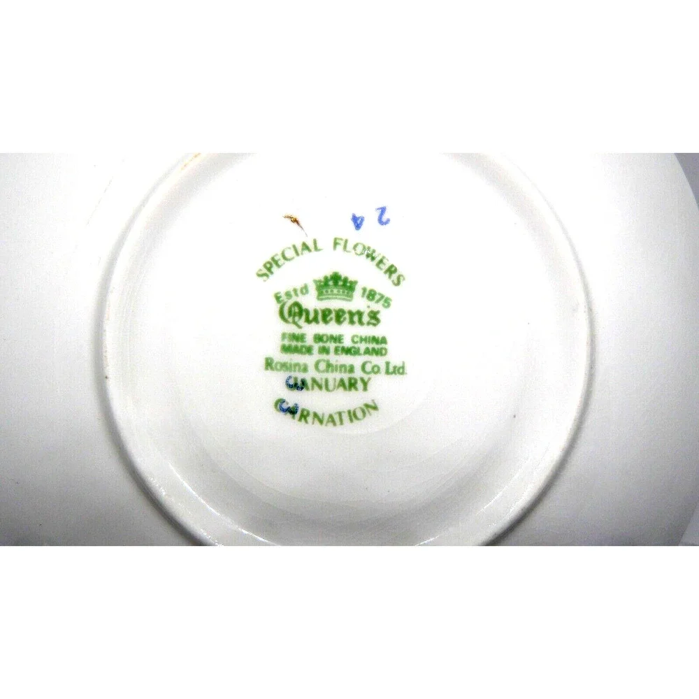 Vtg Queens Rosina China Co January Tea Cup & Saucer Special Flowers Carnation